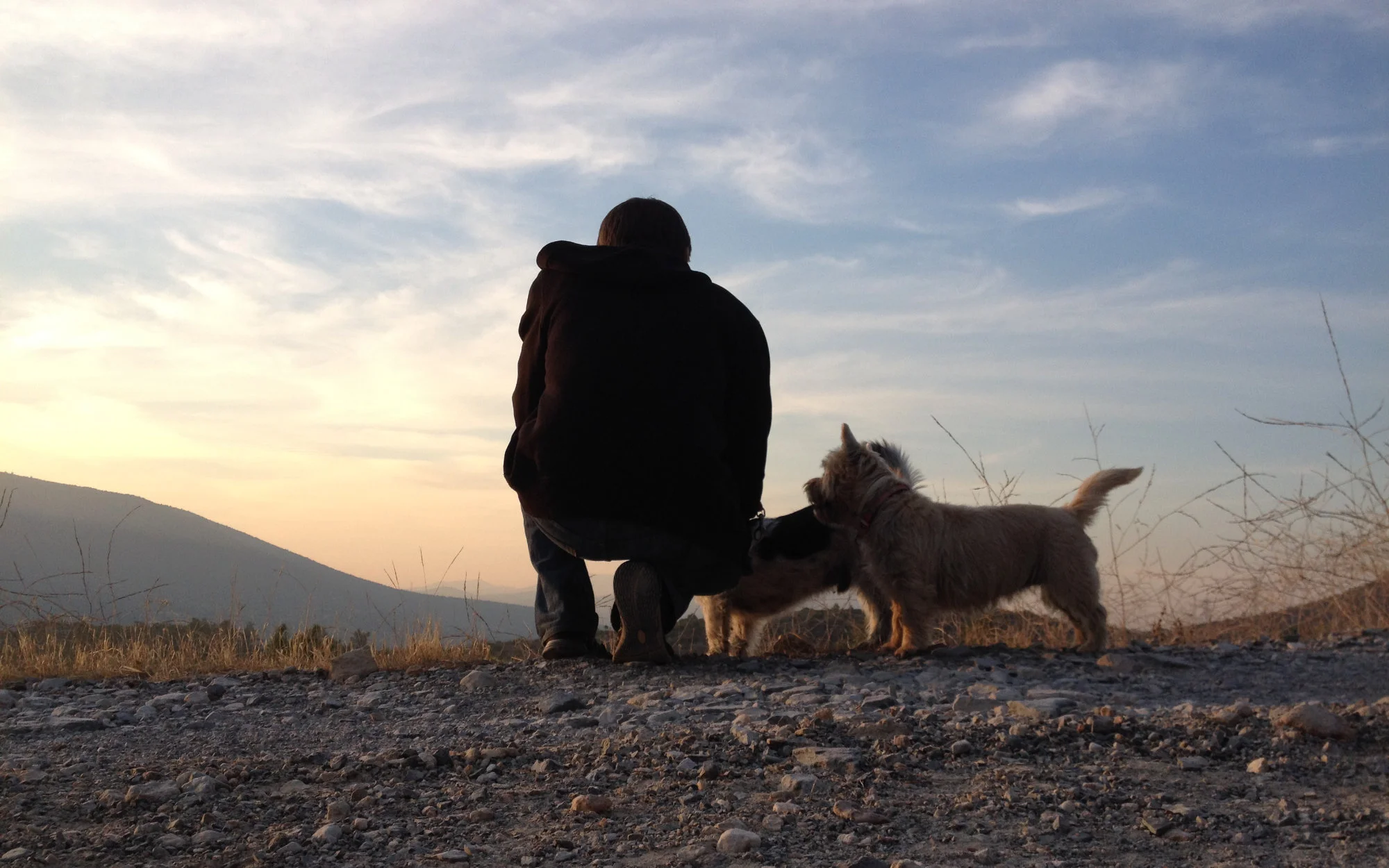 Image contains a photo of a man with his back to the camera looking over a valley. To his right, there are two small dogs looking at him.