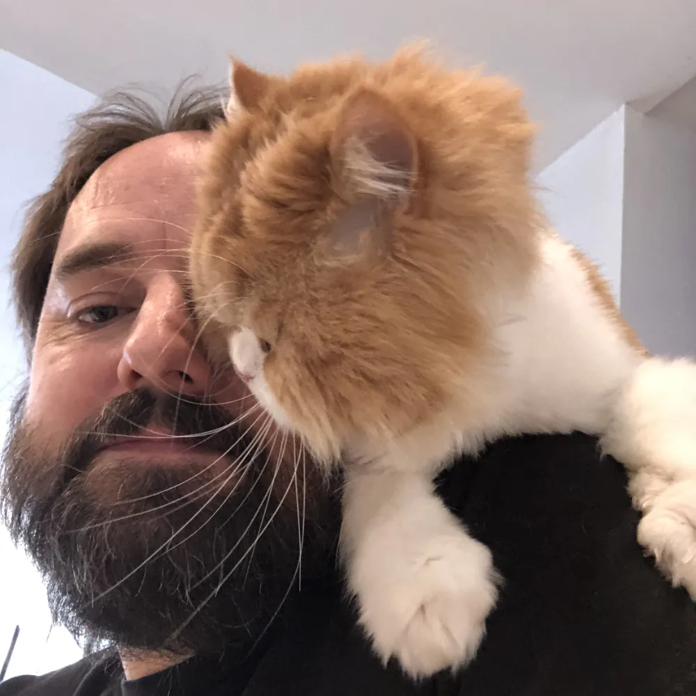 Image contains a photo of cat sitter, Ryan Patey, with a cat sitting on his shoulder.