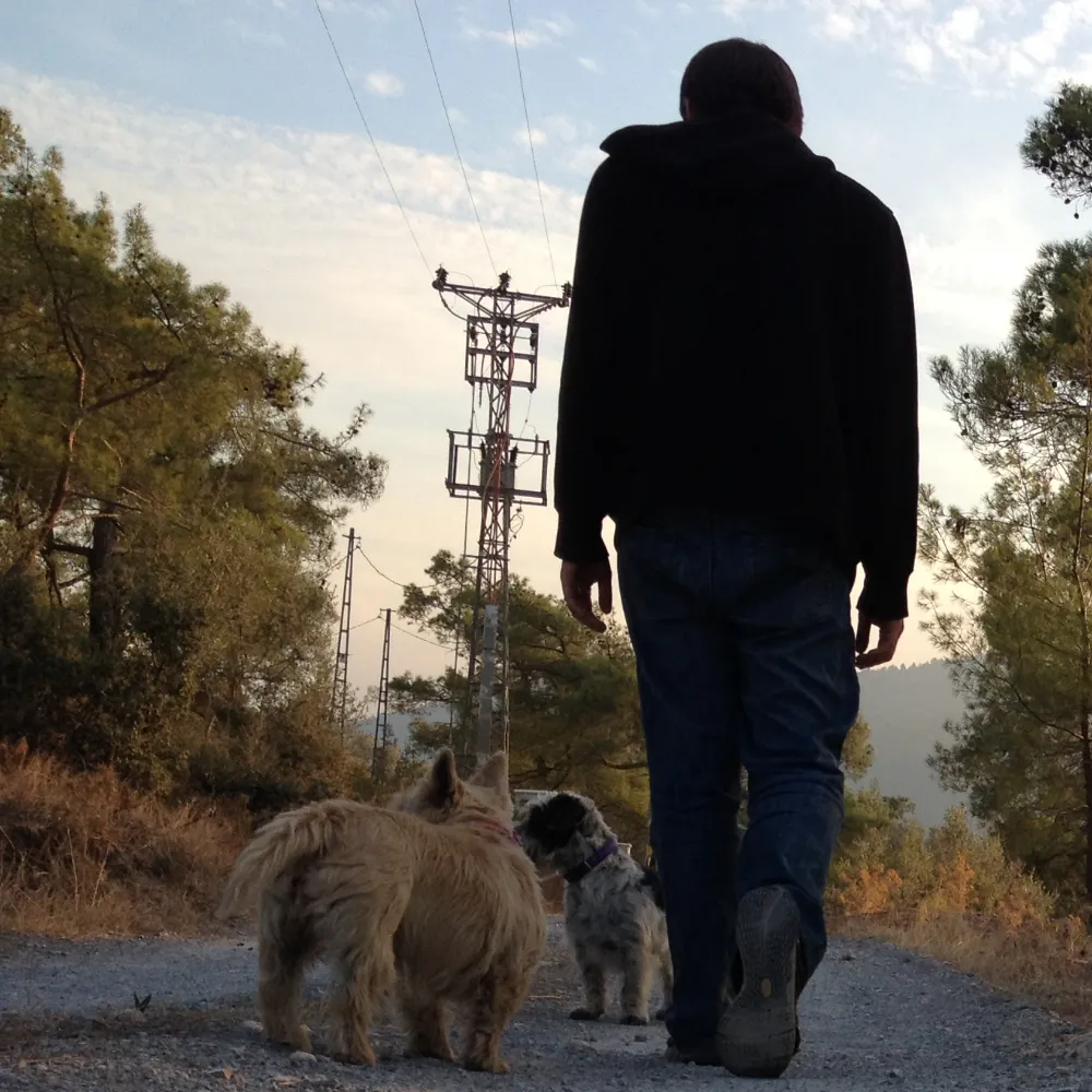 Image contains a photo of Ryan Patey walking away from the camera with two small dogs on his left.